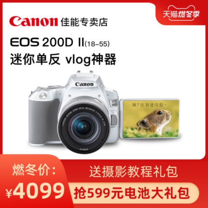 Canon/佳能200d二代单反相机入门级学生款相机数码高清旅游照相机200Dii数码相机